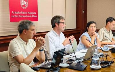 Egoitza pribatuetan daudenen esfortzu ekonomikoa arintzeko neurriak hartuko ditu Aldundiak