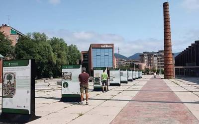 Bizkaiko Foru Berriaren erakusketa ibiltaria Durangora iritsi da, bere azken helmugara