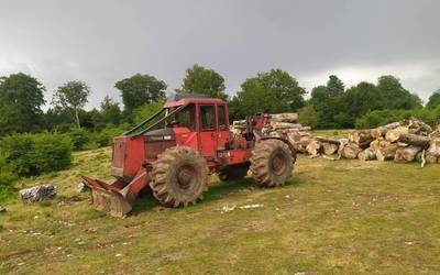 Zunbelzko baso aprobetxamendua emateko deialdia