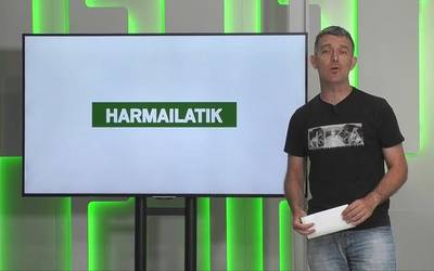 'Harmailatik': Eskoriatzako rallysprinta, Dorletako Ama saria, Aloña Mendi eskubaloi sailekoen lagunartekoak