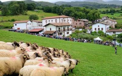 Giro ederra eta parte hartze haundia aurtengo Artzain Egunean