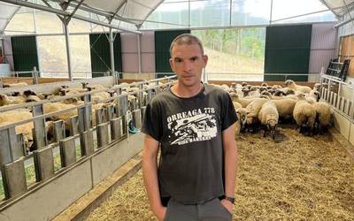 "Abuztuan lehendik baturiko belarra eman diegu jaten ardiei, larrean ez zegoelako ezer"