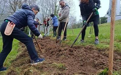 Gym Berdea ekimenean izena emateko epea, zabalik