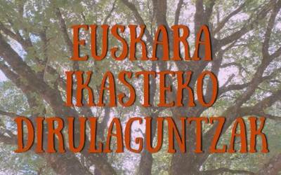 Euskararekin gehiago: Euskara ikasteko dirulaguntzak