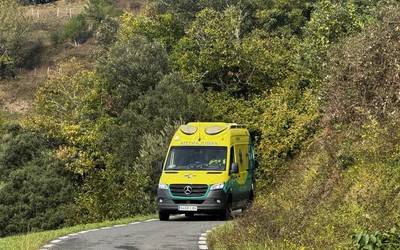 Basurde batek pertsona bat zauritu du Soraluzen