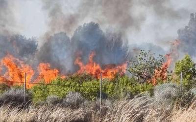Berako Amezmendi eta Zigorriaga inguruetako herri lurretan oihan berritze lanak hasi dituzte