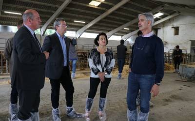 Haragitarako behien hobekuntza genetiko eta sanitarioaren alorrean erreferentziazko zentroa, Aian